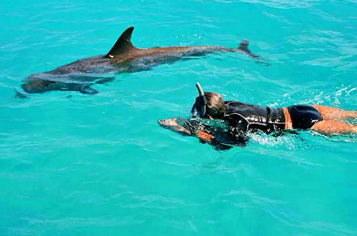 Grace Bay Suites The Bight Settlements